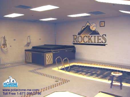 The Colorado Rockies spa and pool room